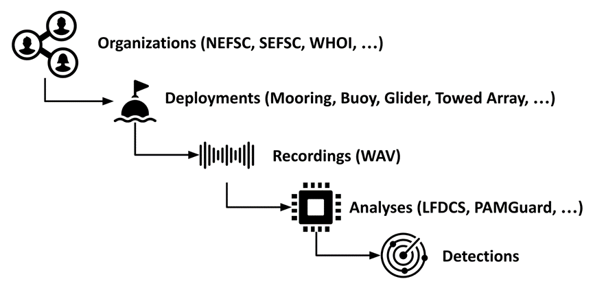 Diagram: Relationships:  Organizations, Deployments, Recordings, Analyses, Detections